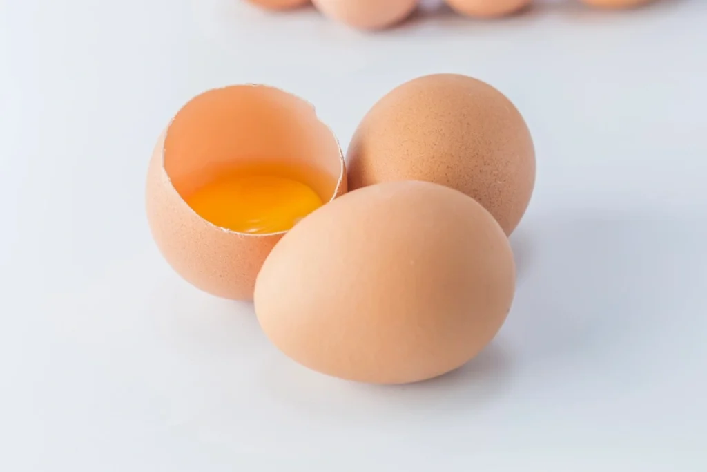 Ilustrasi Telur Ayam Omega